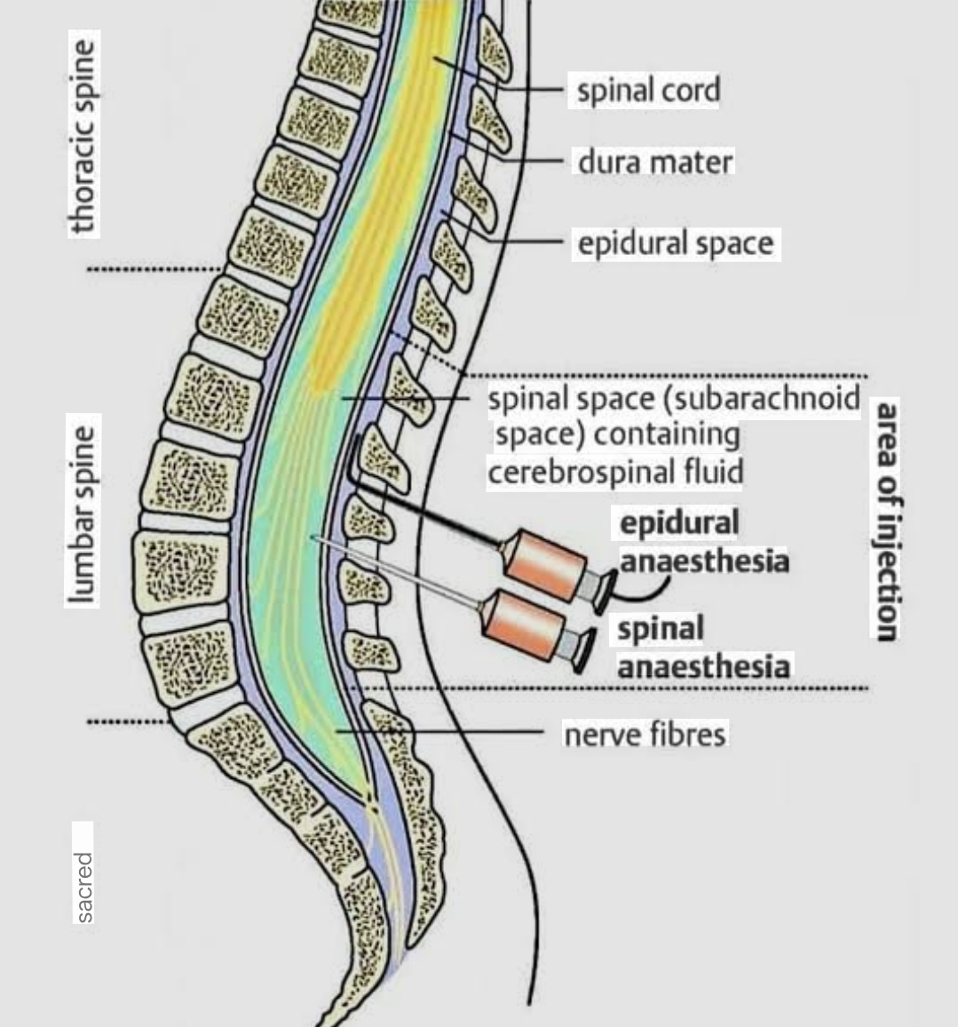 Question Reference Diagram