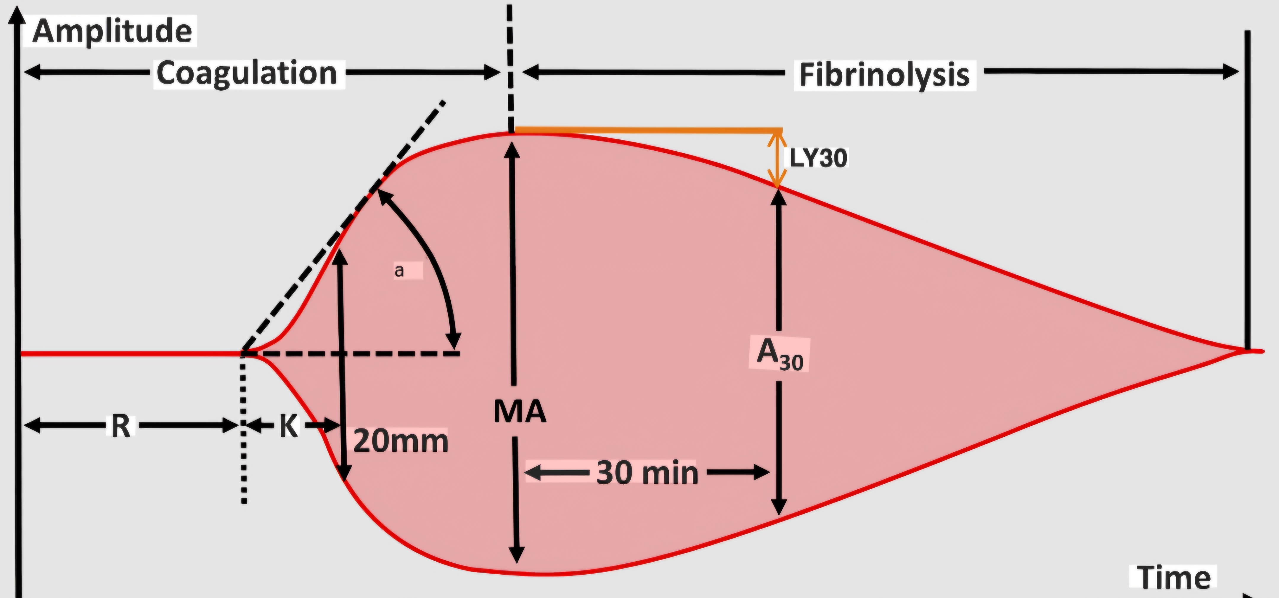 Question Reference Diagram