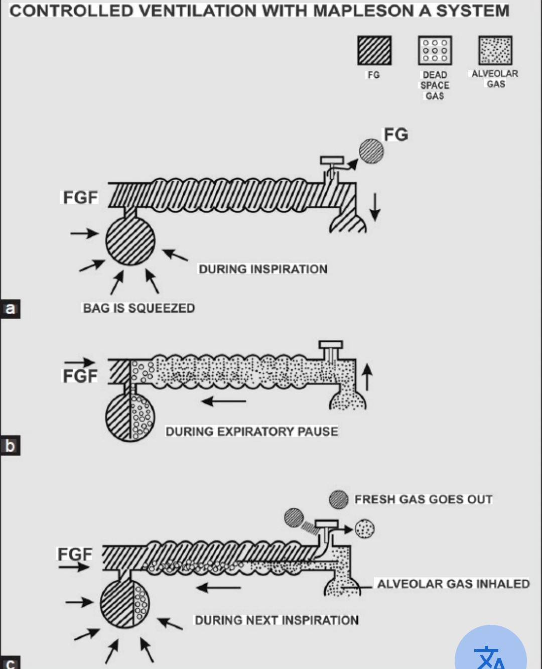 Question Reference Diagram