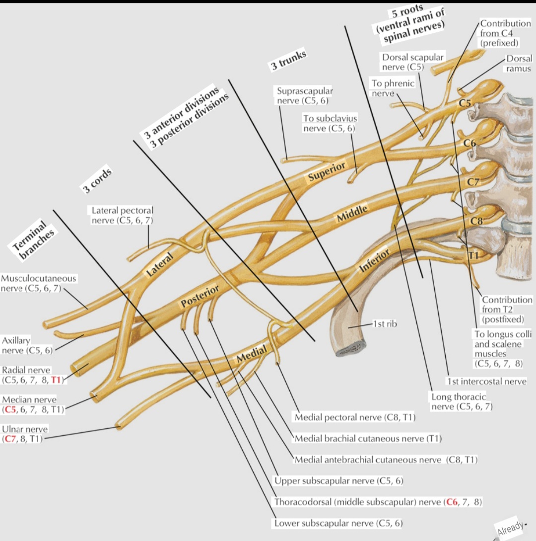 Question Reference Diagram