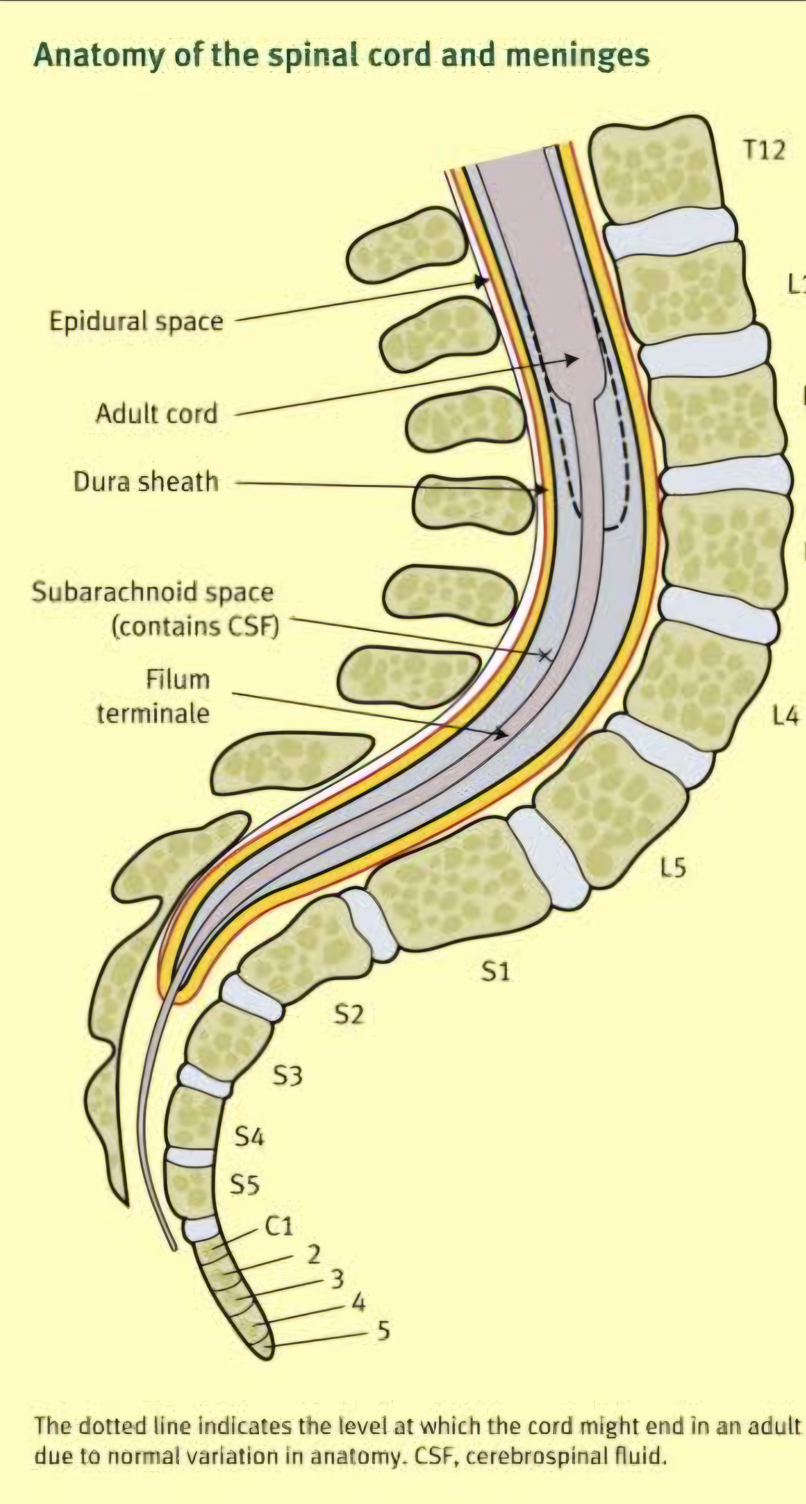 Question Reference Diagram