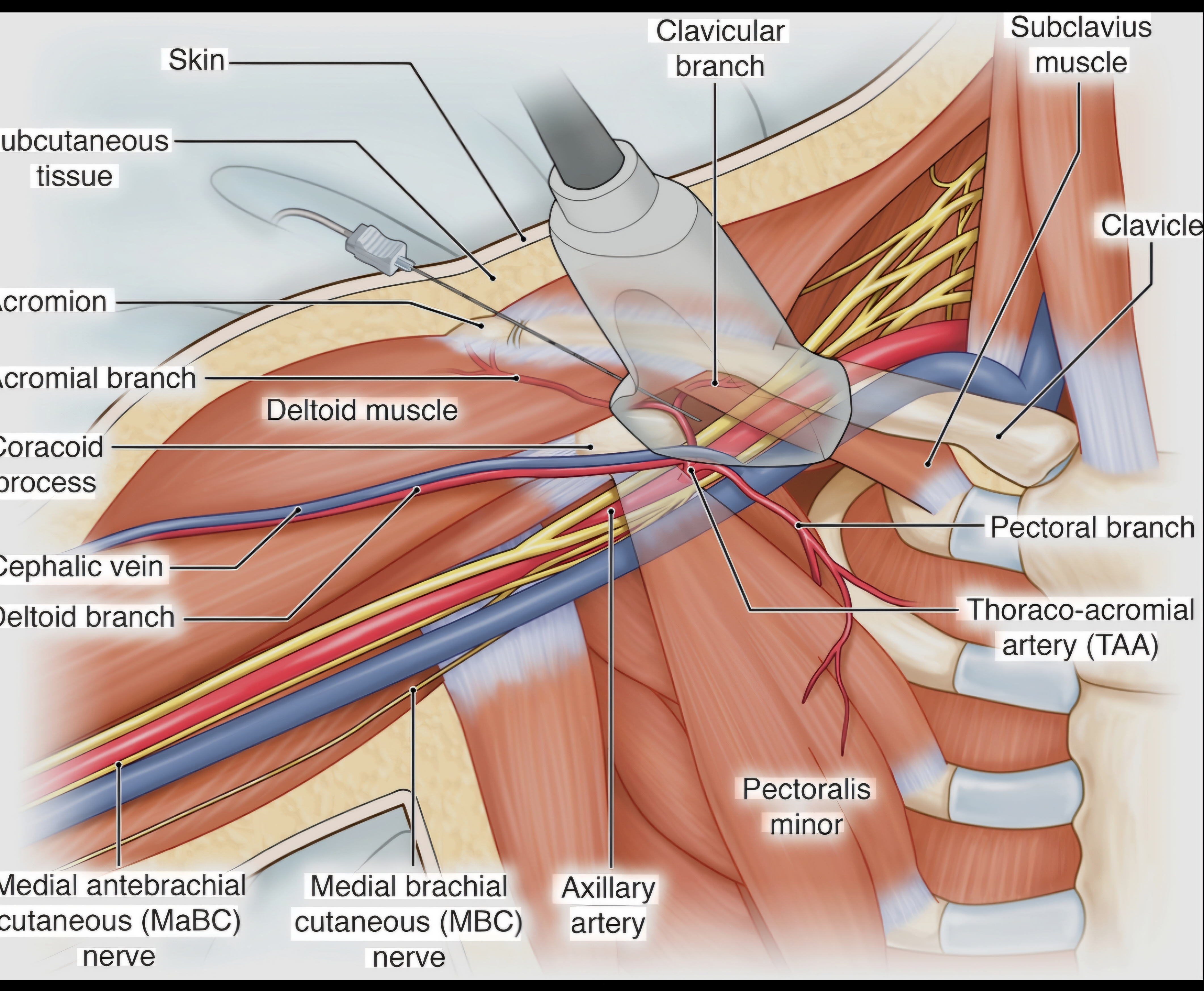 Question Reference Diagram