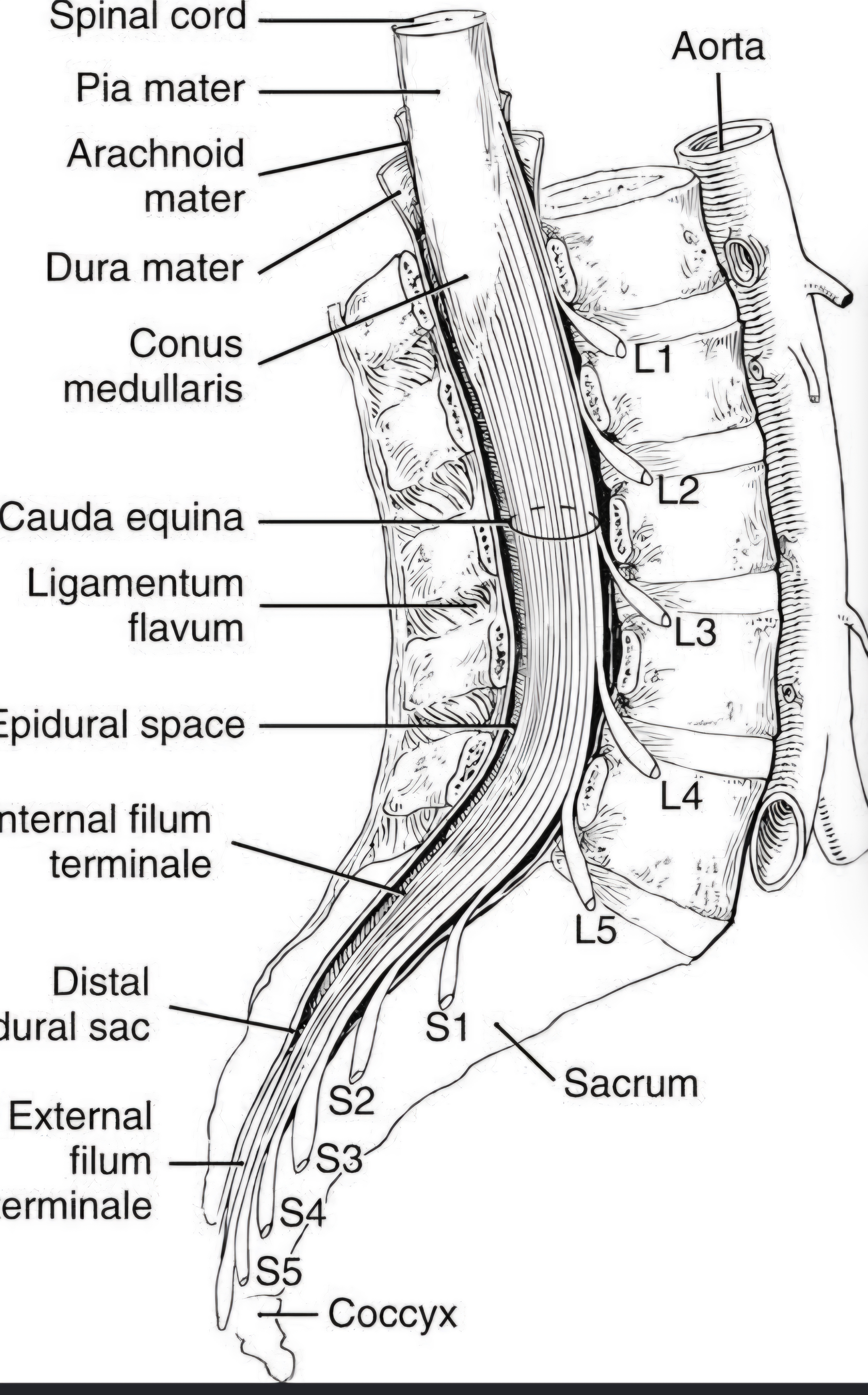 Question Reference Diagram