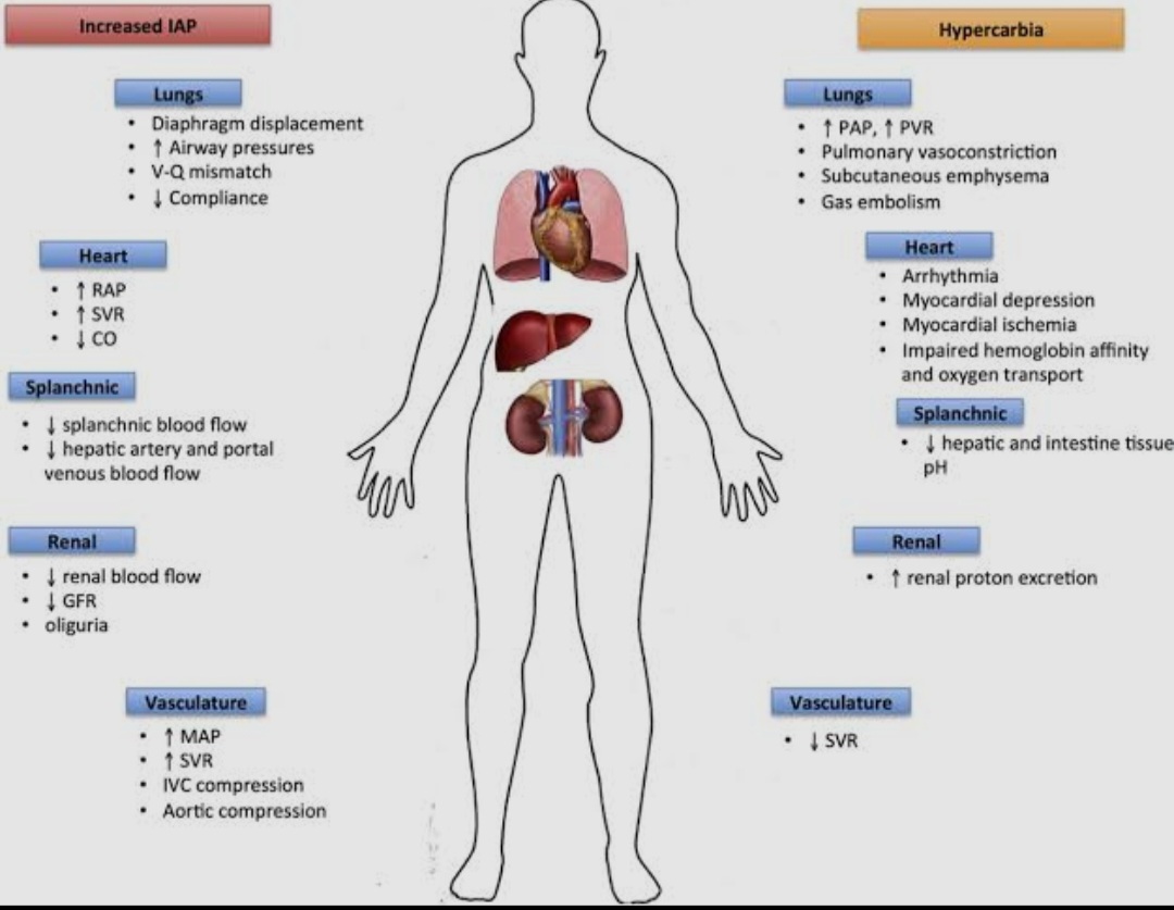 Question Reference Diagram