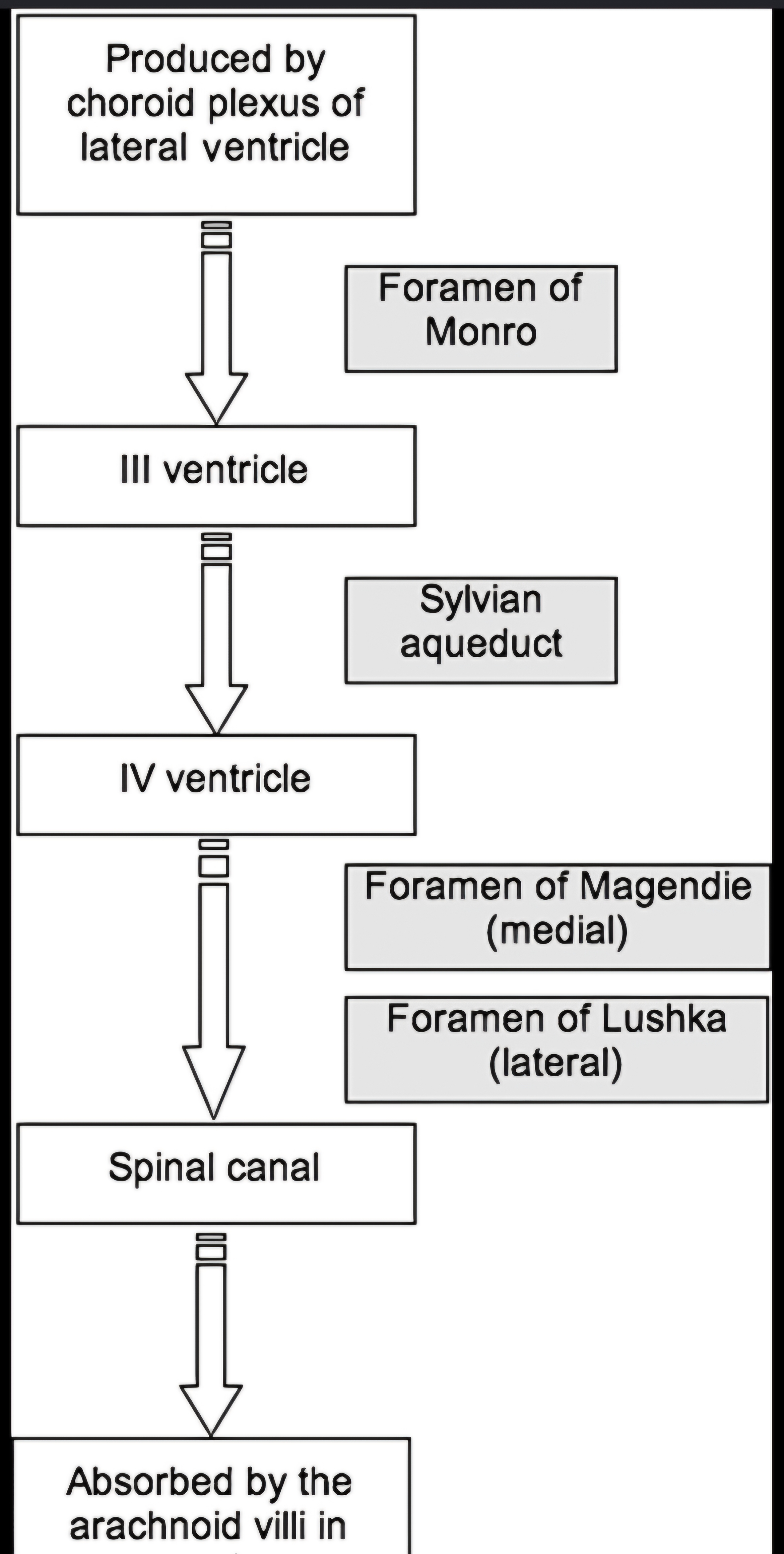 Question Reference Diagram